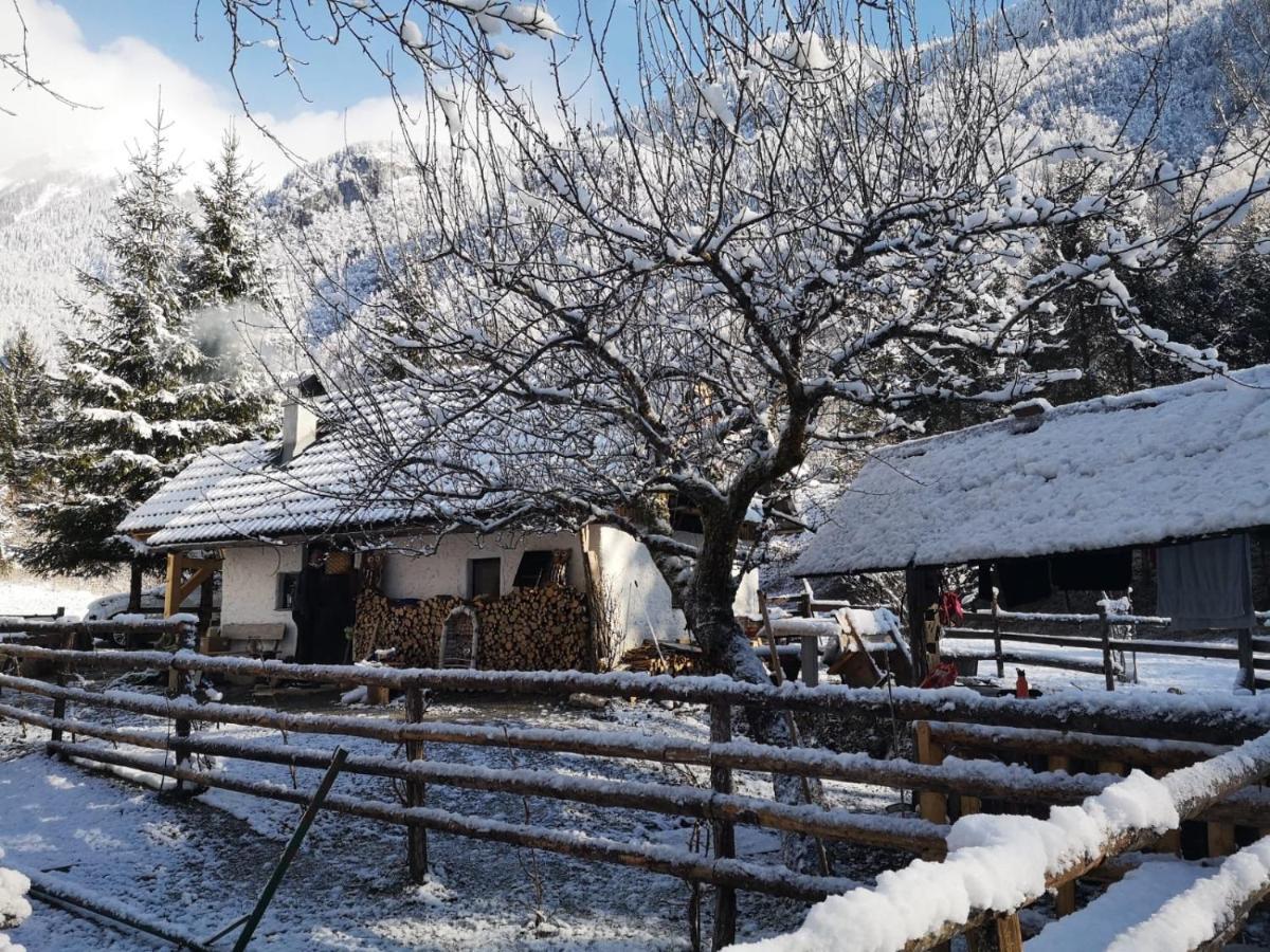 Villa Lizina Hiska House Bohinj Bohinjska Bistrica Exterior foto