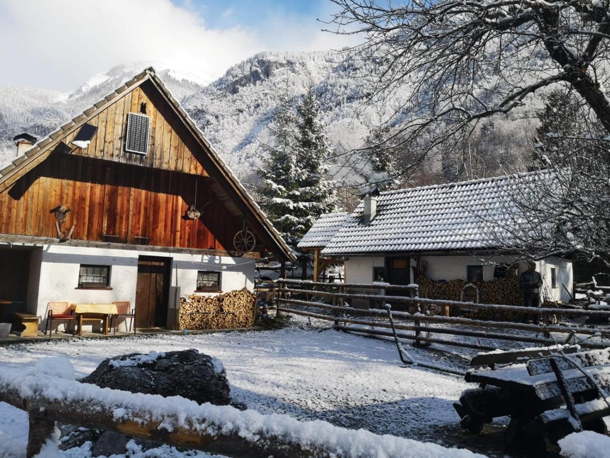 Villa Lizina Hiska House Bohinj Bohinjska Bistrica Exterior foto